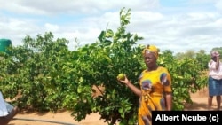 Lo ngomunye wabesifazana abalima engadini yeProgressive Garden esigabeni seBethel, eGwanda South. Omama laba bathi inzuzo abayitholayo iyabenelisa ukugcina izimuli zabo.