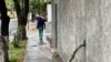 Una mujer se resguarda de la lluvia con un paraguas mientras camina por una calle del este de Caracas el 30 de mayo de 2023. 