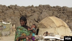 Afar Drought 03