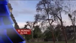 El Mundo al día