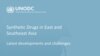 2022 UNODC Report in Drug (UNODC)