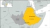 23 Sentenced in Ethiopia for al-Qaida, al-Shabab Links