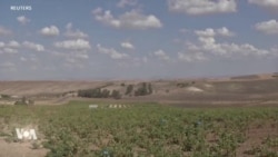 L’Algérie veut se hisser au top des exportateurs de vin