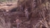 Soldiers from the Spanish Parachute Squadron (EZAPAC) look for bodies after floods in Barranco del Poyo, Spain, Nov. 5, 2024. 