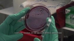 Doctors Fight Bacteria With Bacteria