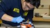 這張2025年1月31日從美國國家運輸安全委員會（NTSB）獲得的照片顯示，NTSB調查人員正在檢查美國航空公司5342航班的黑盒。