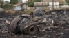 A woman walks at the site of a crashed Malaysia Airlines passenger plane near the village of Rozsypne, eastern Ukraine on Friday, July 18, 2014. 