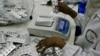 Medicamentos falsos exportados de China para Angola em altifalantes
