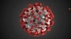  The ultrastructural morphology exhibited by the 2019 Novel Coronavirus