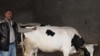 16x9 Image