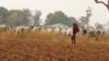 Rigima Ta Barke Tsakanin Fulani Da Kabilar Irigwe A Jihar Filato