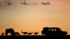Un touriste chinois poignarde deux compatriotes dans un lodge du Masai Mara au Kenya