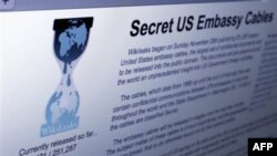 WikiLeaks: Hoa Kỳ, Đức phát triển hệ thống vệ tinh do thám