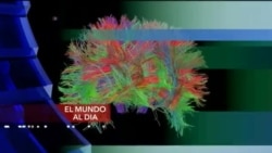 El Mundo al día - Jueves 27 de mayo
