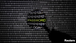 A magnifying glass is held in front of a computer screen in this picture illustration taken in Berlin, May 21, 2013.