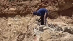 Dargaggoota Dhagaa Baasuun Jireenya Ofii Fooyyeffachuf Carraaqaa Jiran